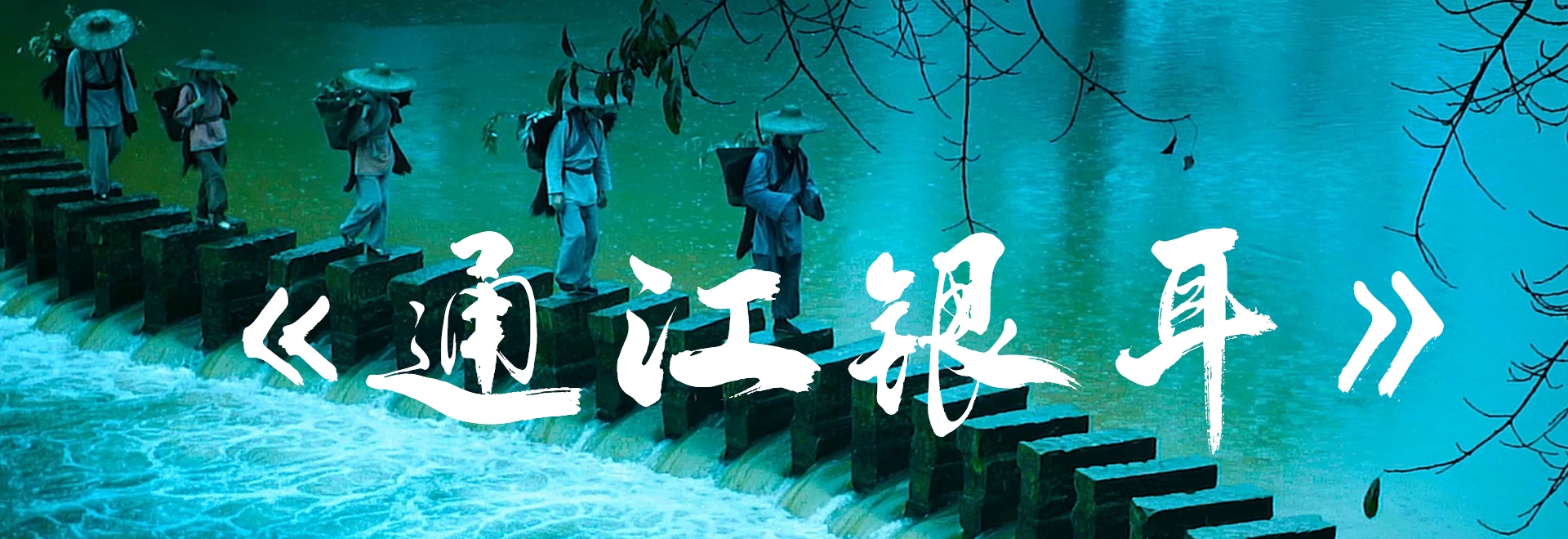 通江银耳音乐电影 《银耳姑娘》