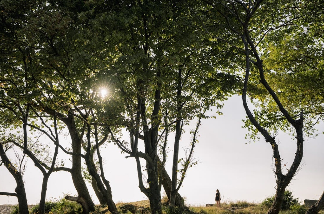 微信截图_20240926140931