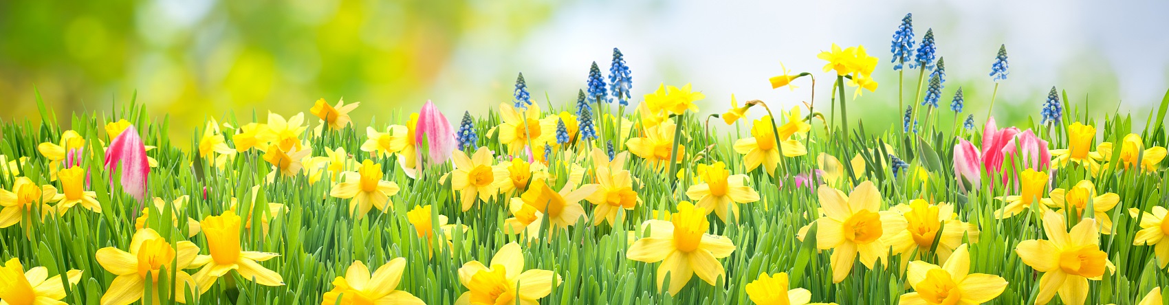 广告片拍摄制作公司：创意与技术的完美碰撞