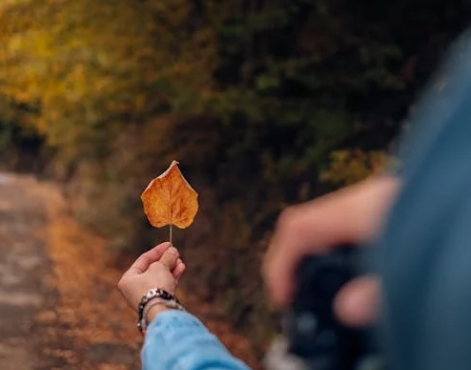 微信截图_20241010113135