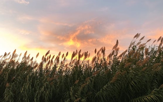 微信截图_20241011105045