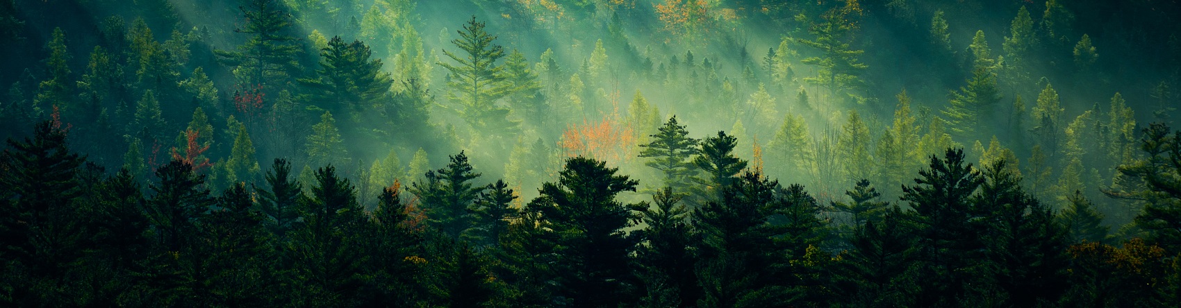 网络短片拍摄公司：创意短视频时代的弄潮儿