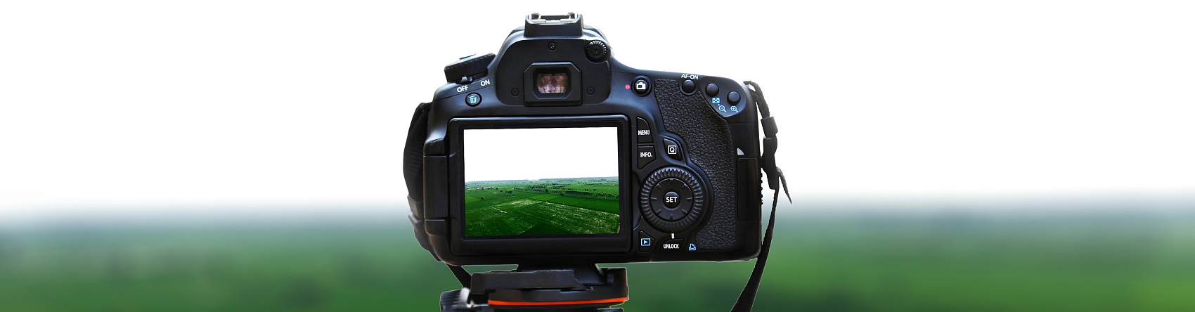 网络直播公司：重塑娱乐与商业版图的新势力