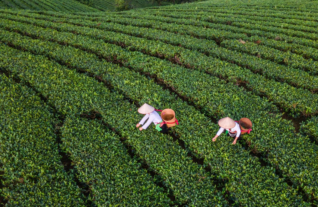 微信截图_20241030134123