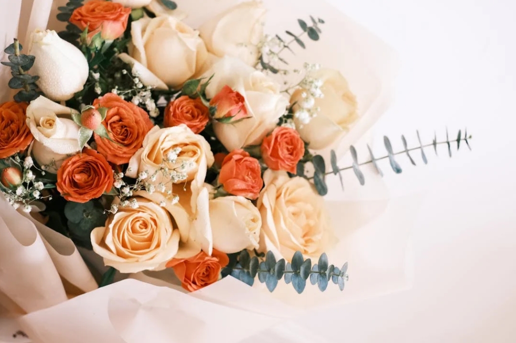 微信截图_20241202172024