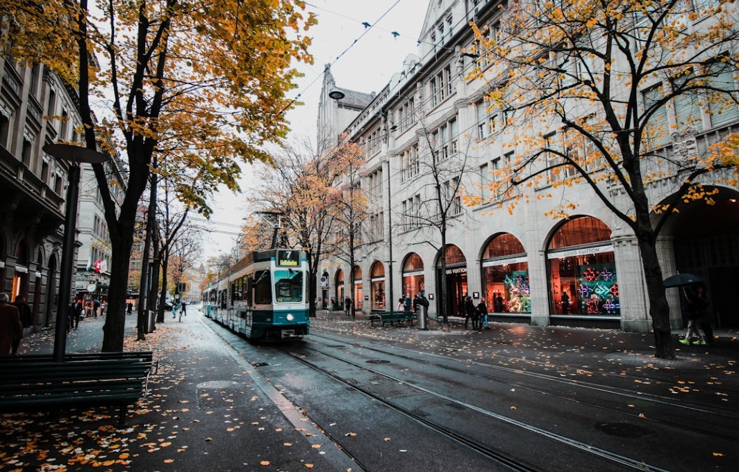 微信截图_20241210074233