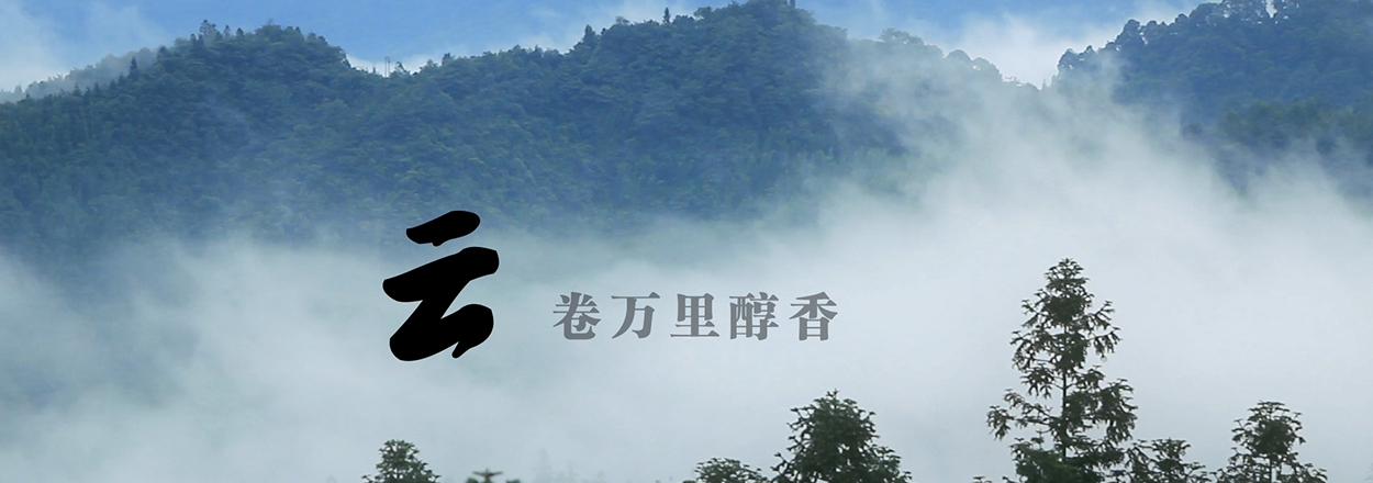 宣传片视频制作要有哪些内容才能有好的效果呢？