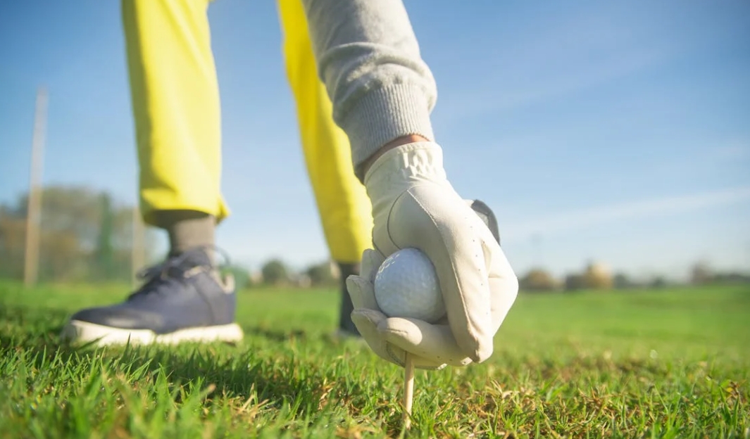 微信截图_20250102105702 微信截图_20250102105702