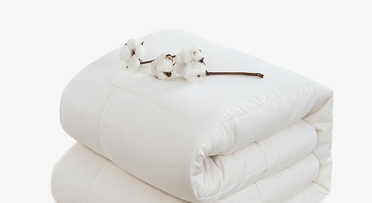 微信截图_20250211180937