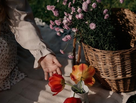 短视频拍摄供应商详解李子柒的几大拍摄思路 微信截图_20250526151917