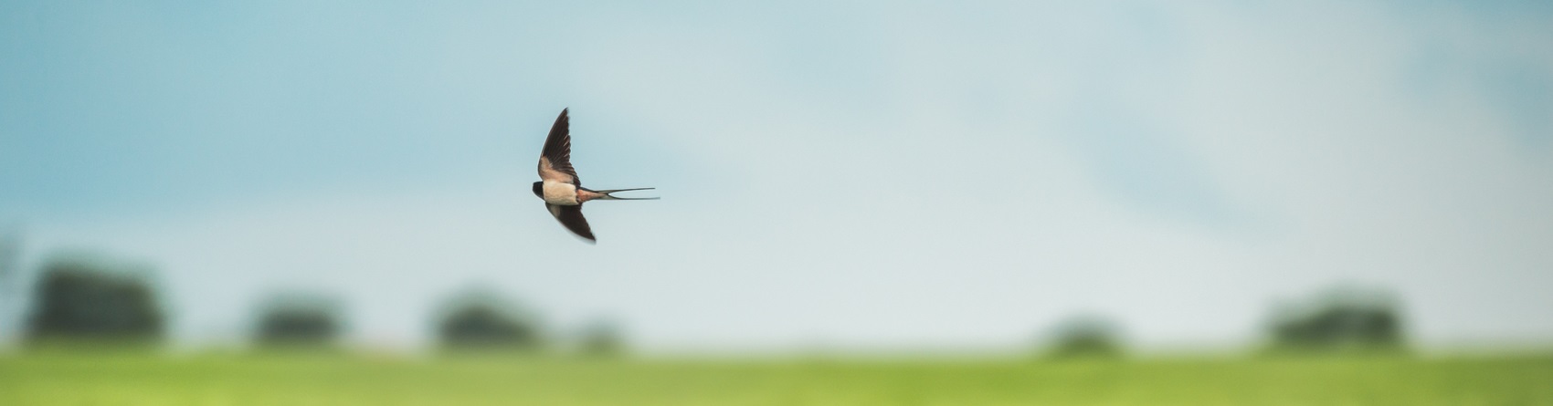 极简模式下，网络短片拍摄公司怎么拍？
