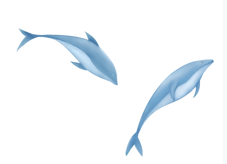 微信截图_20250707170405