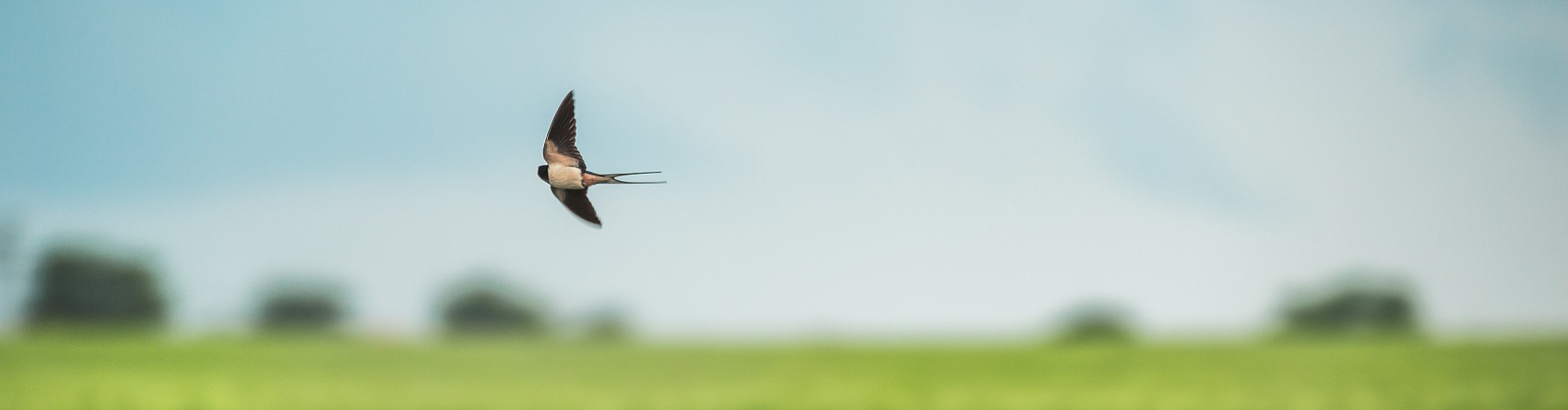 宣传片：光影叙事中的价值传递艺术