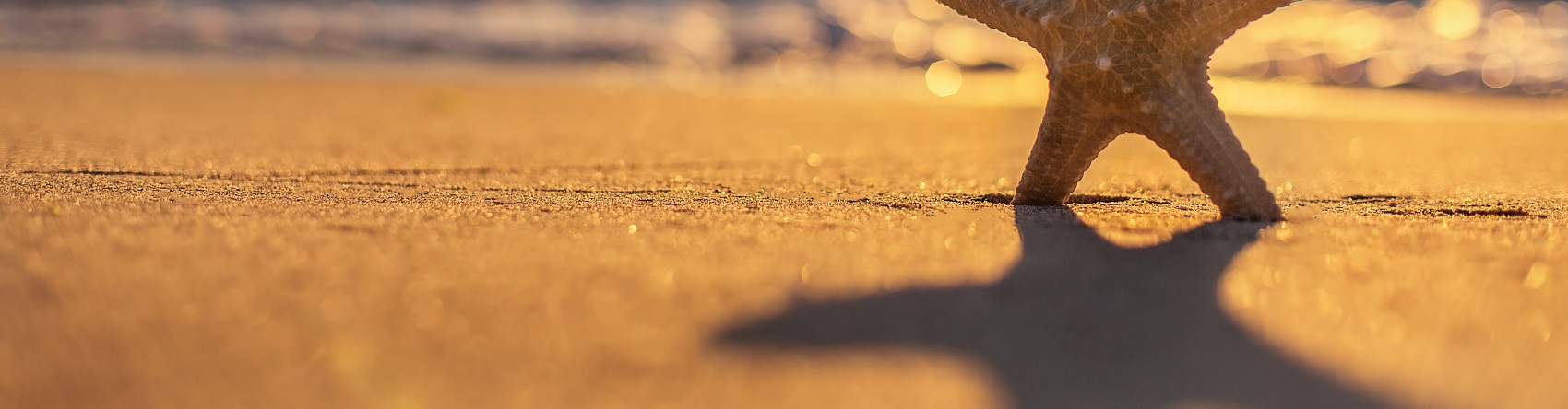 宣传片制作：从创意构思到光影落地的全流程艺术