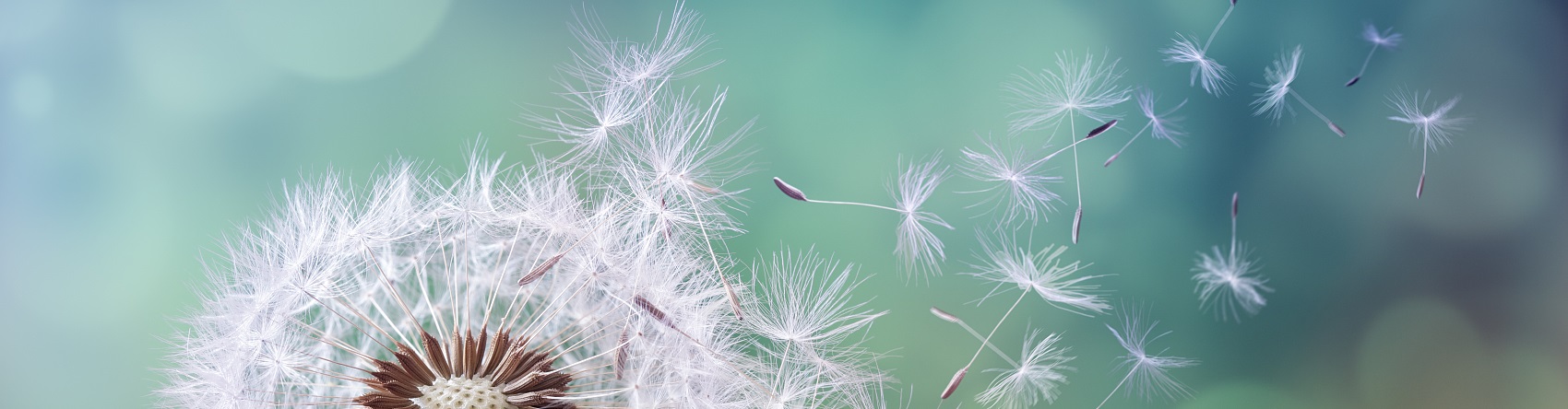 宣传片拍摄：用镜头语言编织光影故事