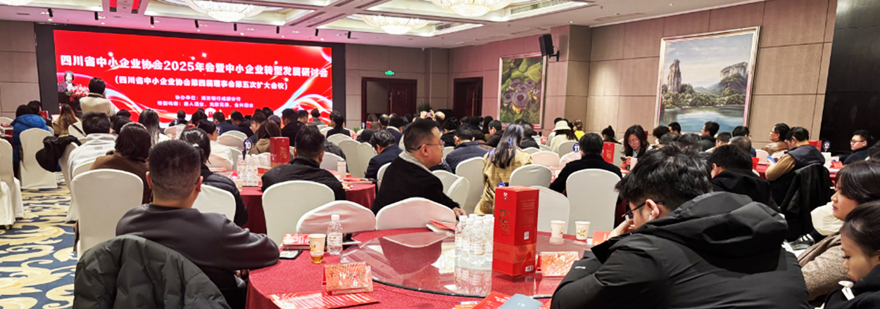 共赴转型之约，共筑发展之路——光影兄弟参加四川省中小企业协会2025年会暨转型发展研讨会有感
